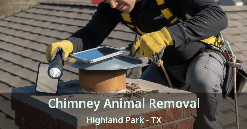 Chimney Animal Removal Highland Park - TX
