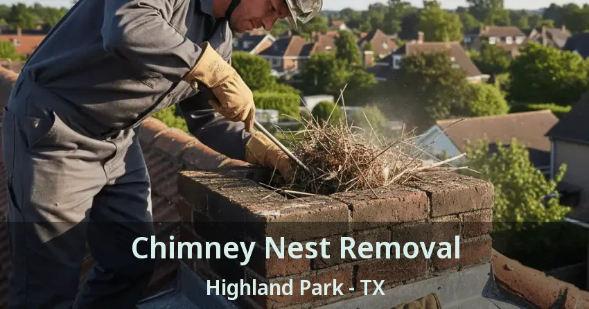 Chimney Nest Removal Highland Park - TX