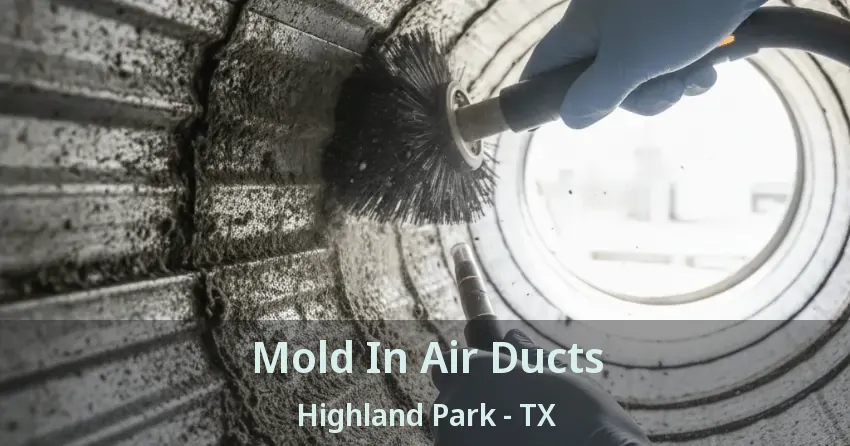 Mold In Air Ducts Highland Park - TX Mold In Air Ducts Highland Park - TX