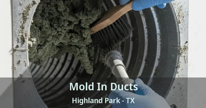 Mold In Ducts Highland Park - TX Mold In Ducts Highland Park - TX