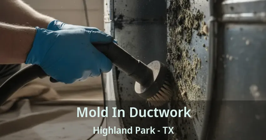 Mold In Ductwork Highland Park - TX