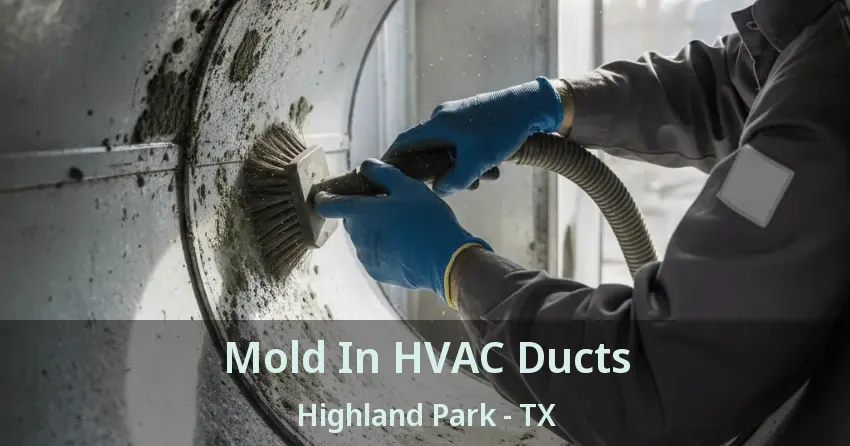 Mold In HVAC Ducts Highland Park - TX