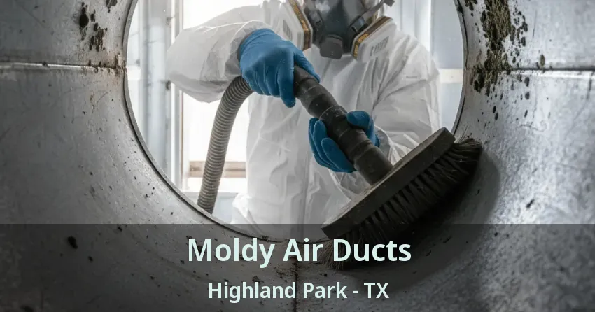 Moldy Air Ducts Highland Park - TX Moldy Air Ducts Highland Park - TX